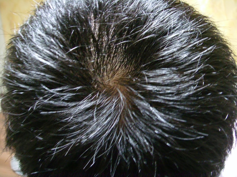 SSL25767.JPG