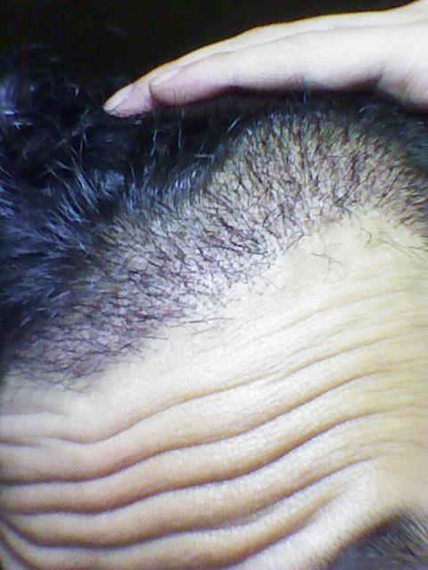 2011.7.23.jpg