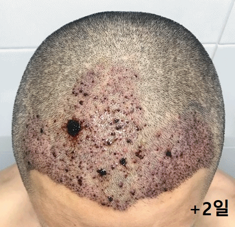 대다모.gif
