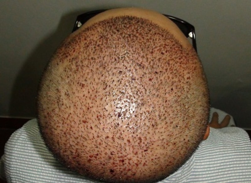 DSC02805a.jpg