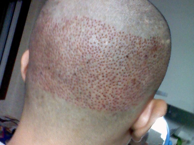 753.jpg