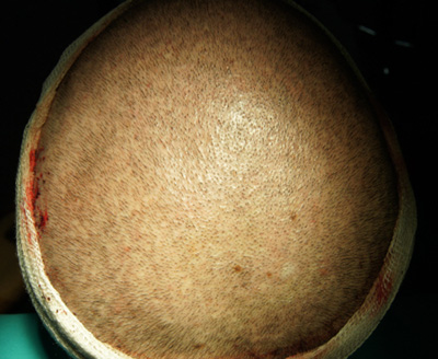 02.JPG