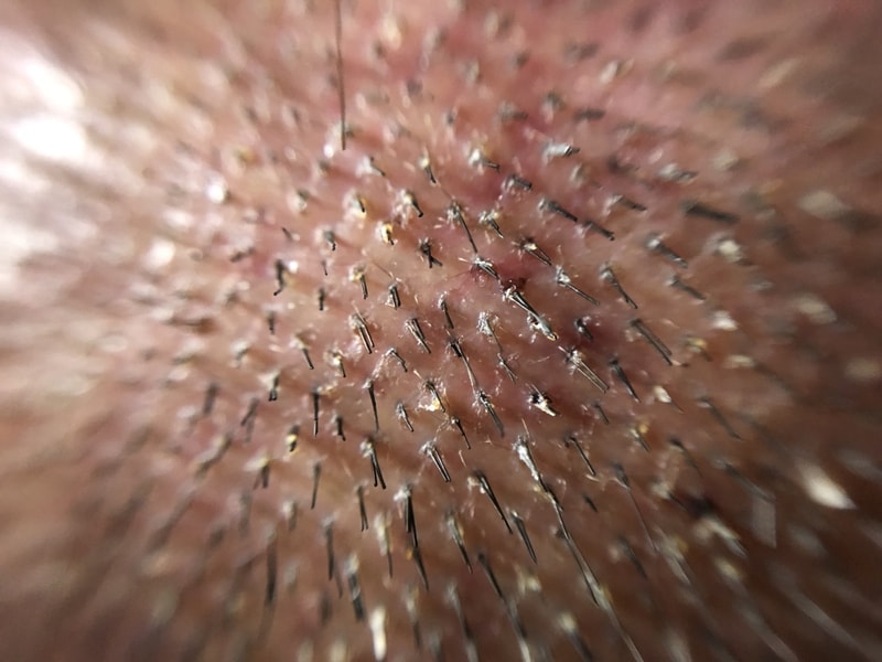 ED1269D7-5B0C-4A86-9E22-ECE34B3D6909.jpeg