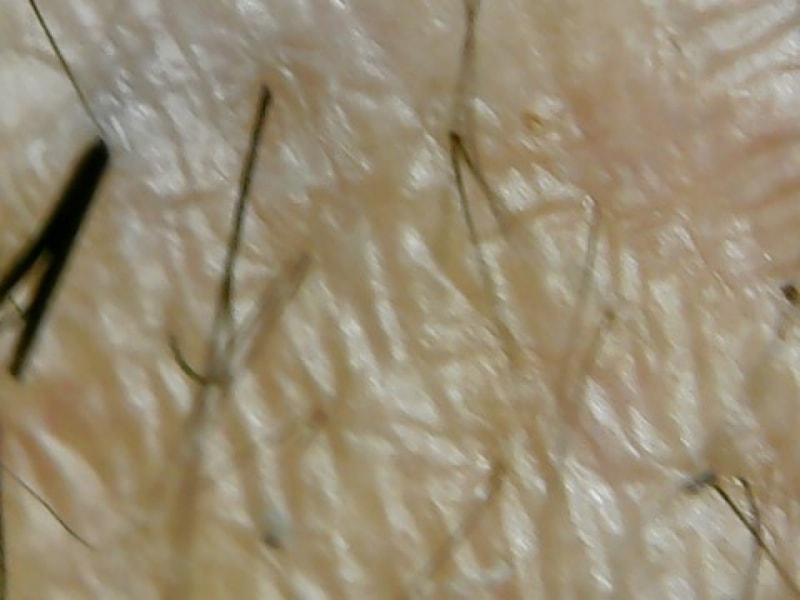 0602_1.jpg