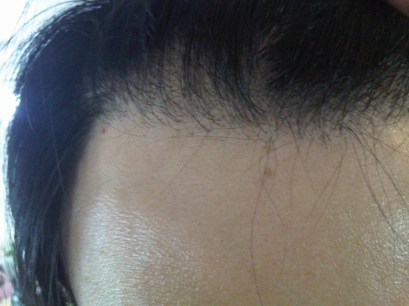 IMG01011-20111218-1404.jpg