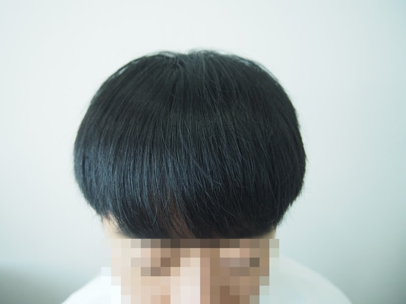 벌써 8개월 차가 되었네요