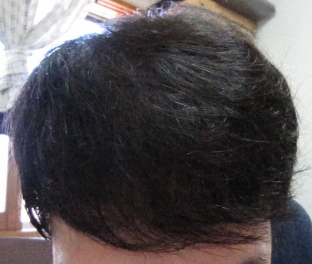 일반사진(640x542).jpg