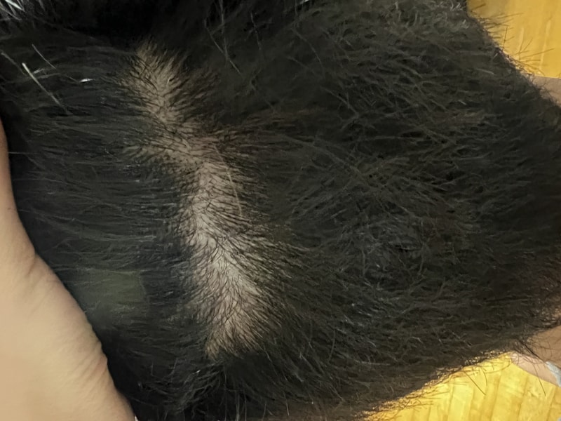 KakaoTalk_20230818_212722151_02.jpg