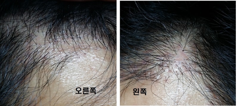 종합.jpg
