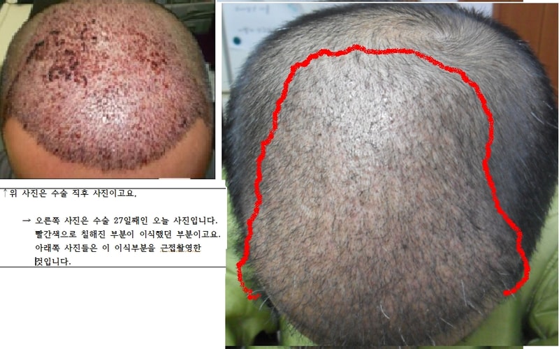 사진 1.JPG