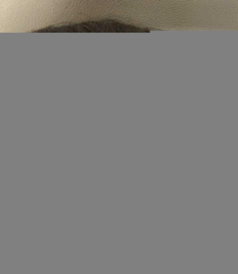 IMG_3146.jpeg