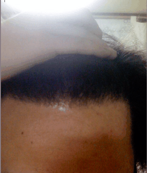 ScreenHunter_02 Mar. 21 22.05.gif