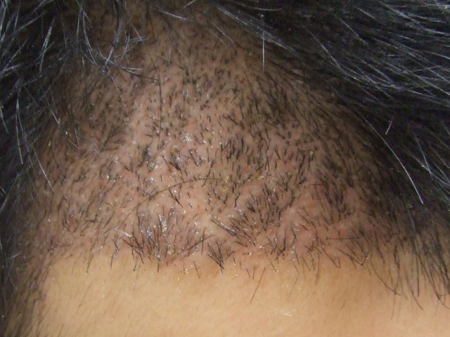 DSCF2384.JPG