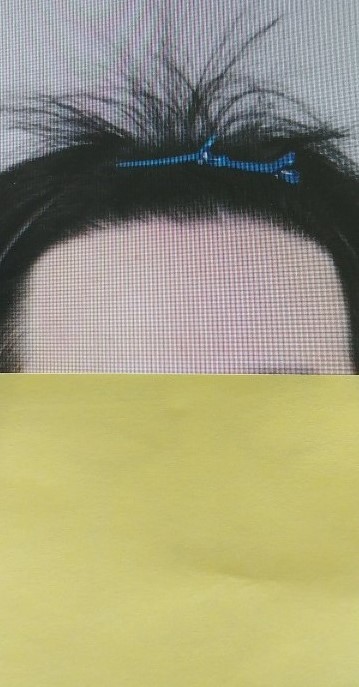 라인어때요?