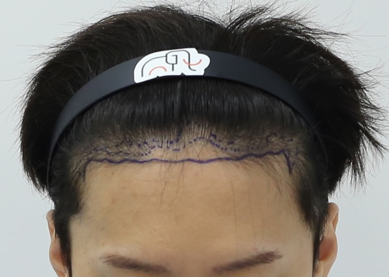 진 디2.jpg