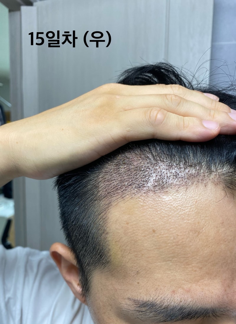 IMG_8791.jpeg
