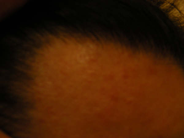 combed back_left 2.jpg