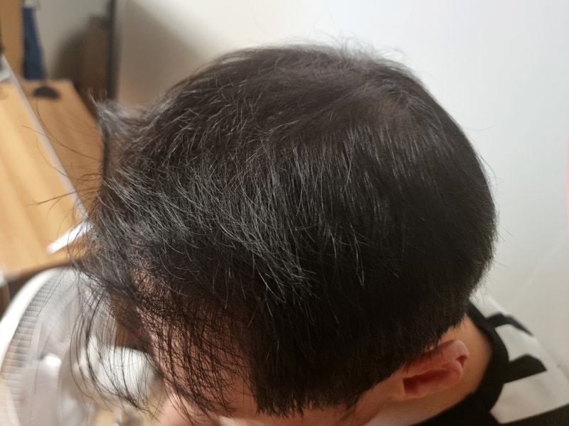 KakaoTalk_20250326_162755947.jpg
