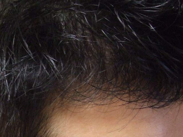 DSCF2782.JPG