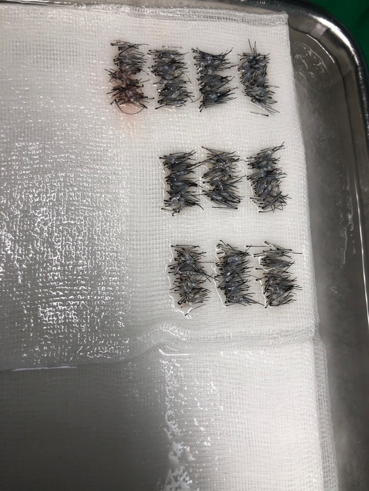 KakaoTalk_20190417_205603572.jpg