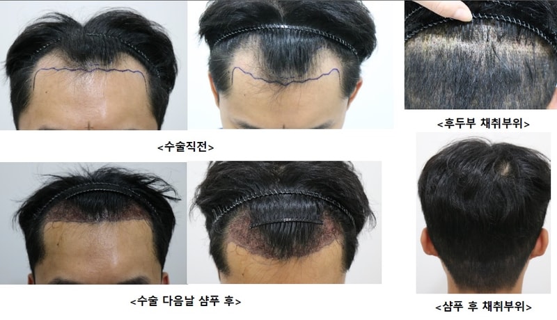 제목 없음.jpg