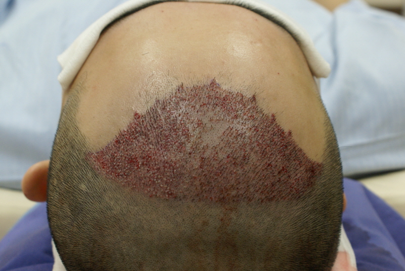 opopDSC08837.JPG