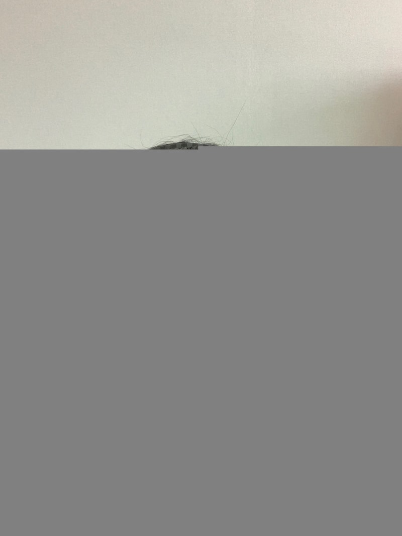 KakaoTalk_20220517_113537991.jpg