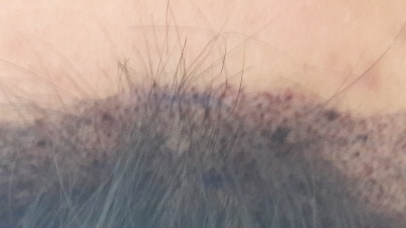 20161222_224001.jpg