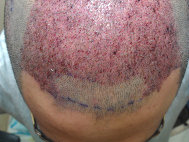 IMAG0147.jpg