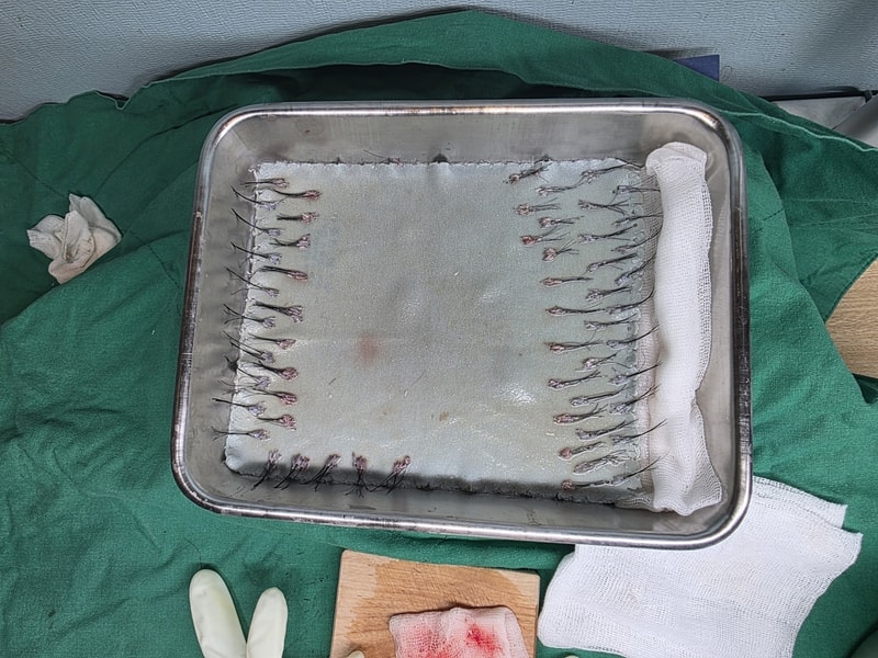 롱헤어 1.jpg
