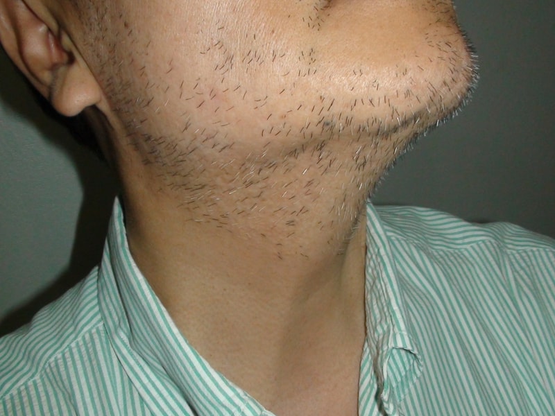 DSC02517.JPG