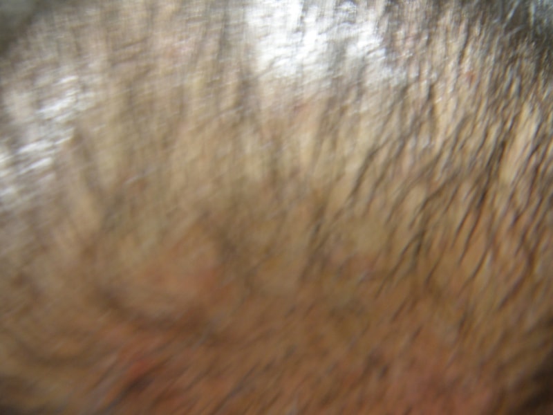 P2200001.JPG