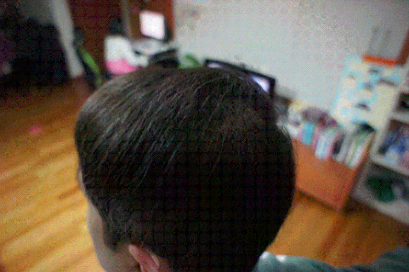 1.GIF