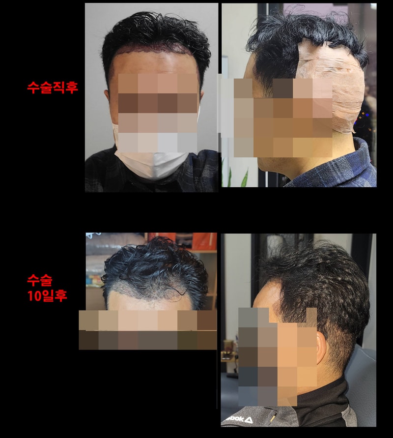 대다모글.JPG
