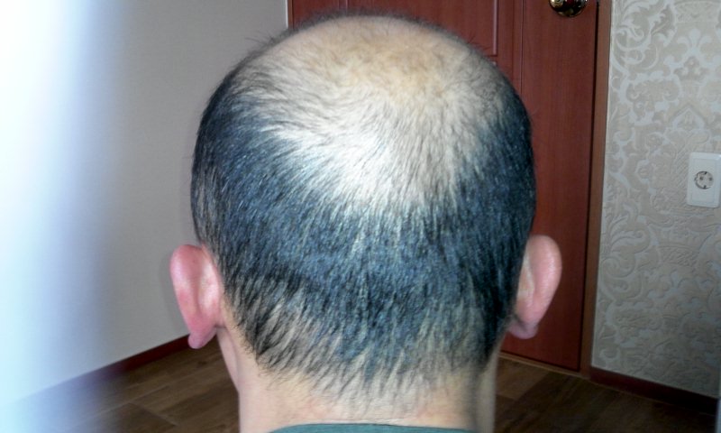 2012-02-26 13.31.12.jpg