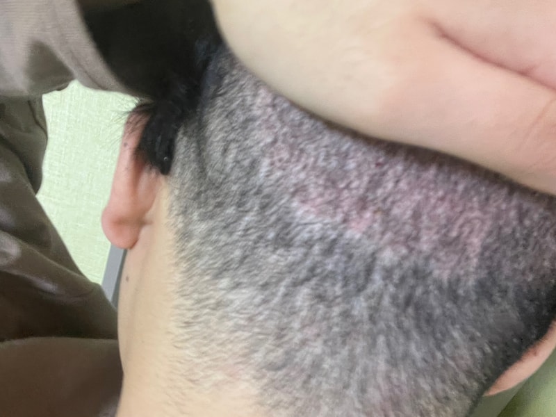 KakaoTalk_20230110_225425243.jpg