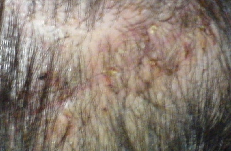 060131-1.jpg