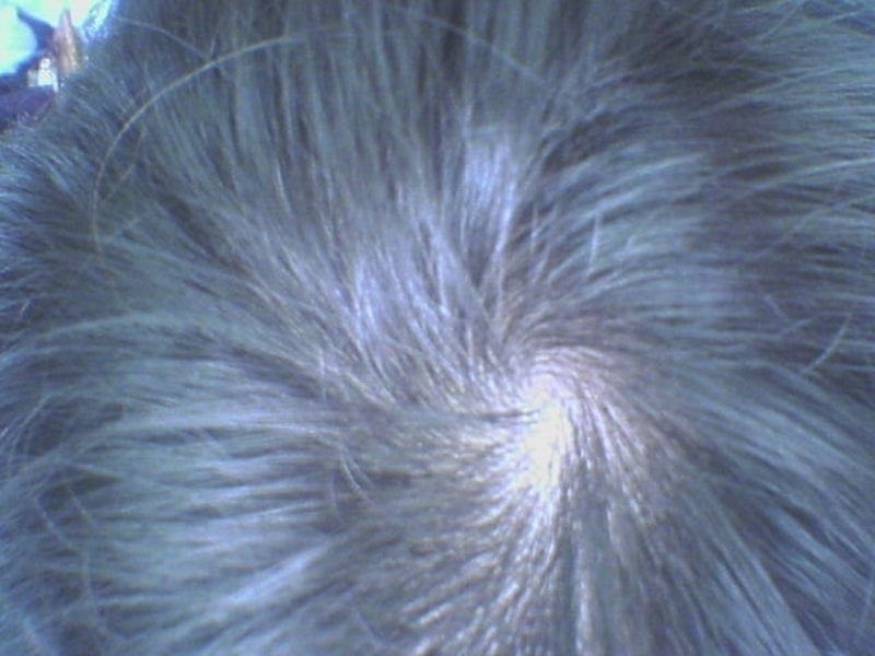 LVH00131.jpg