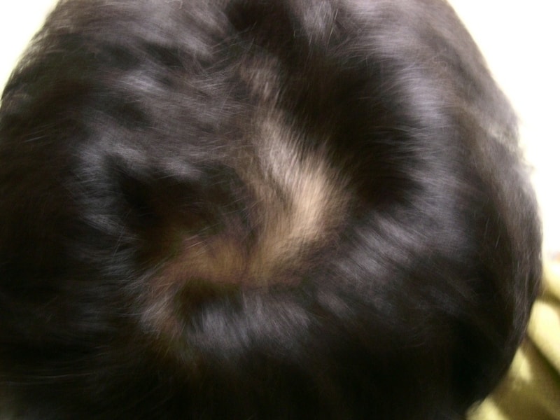 Dscn1903.jpg