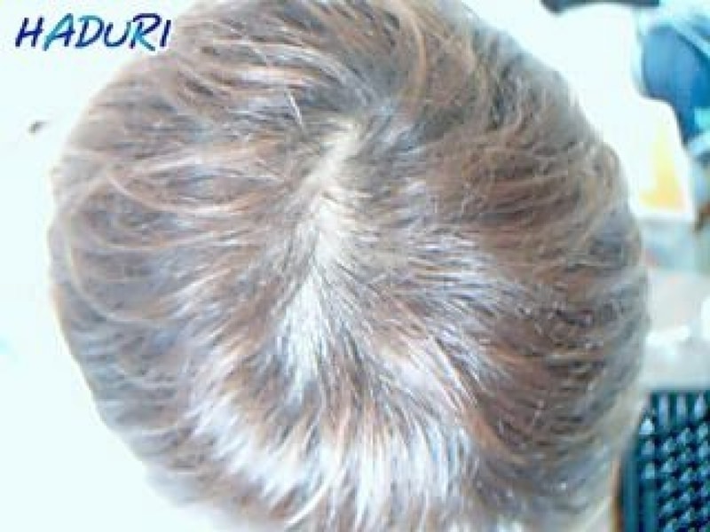 head2.jpg