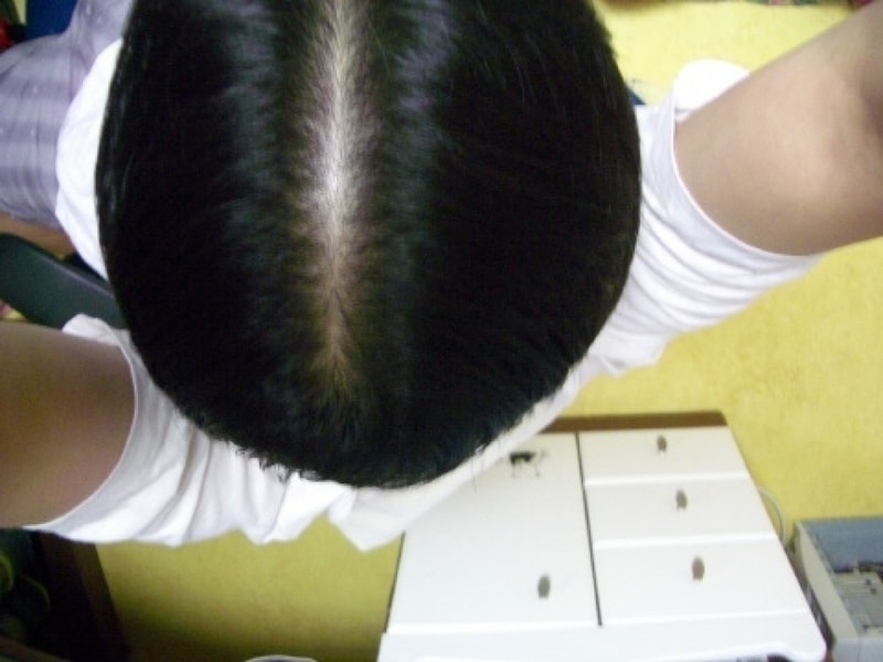 IMGP0848.JPG