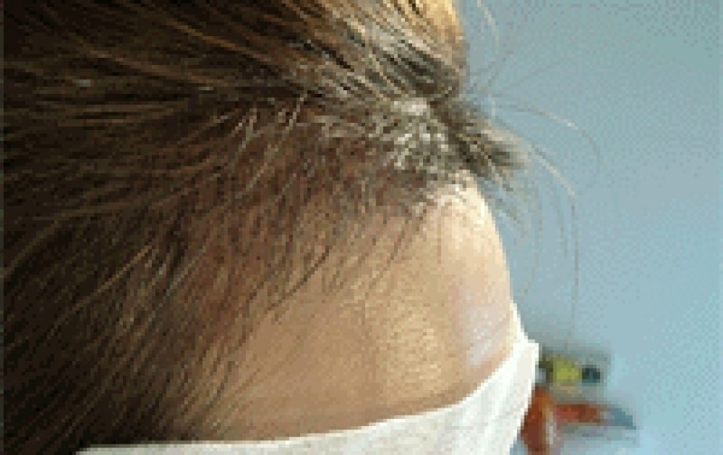 image1_23.gif