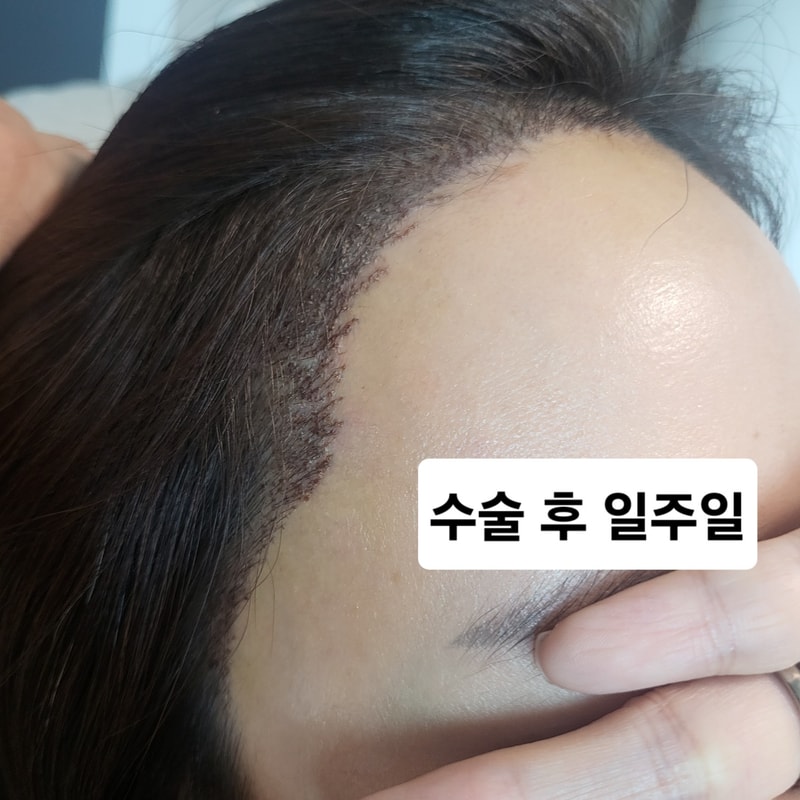 KakaoTalk_20241213_114129283.jpg