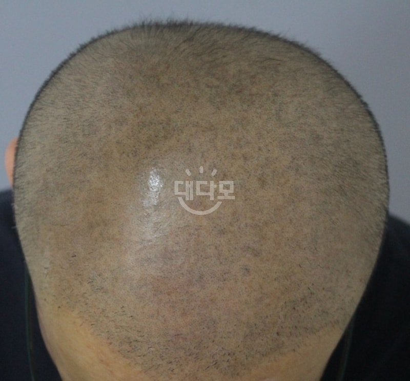306.jpg