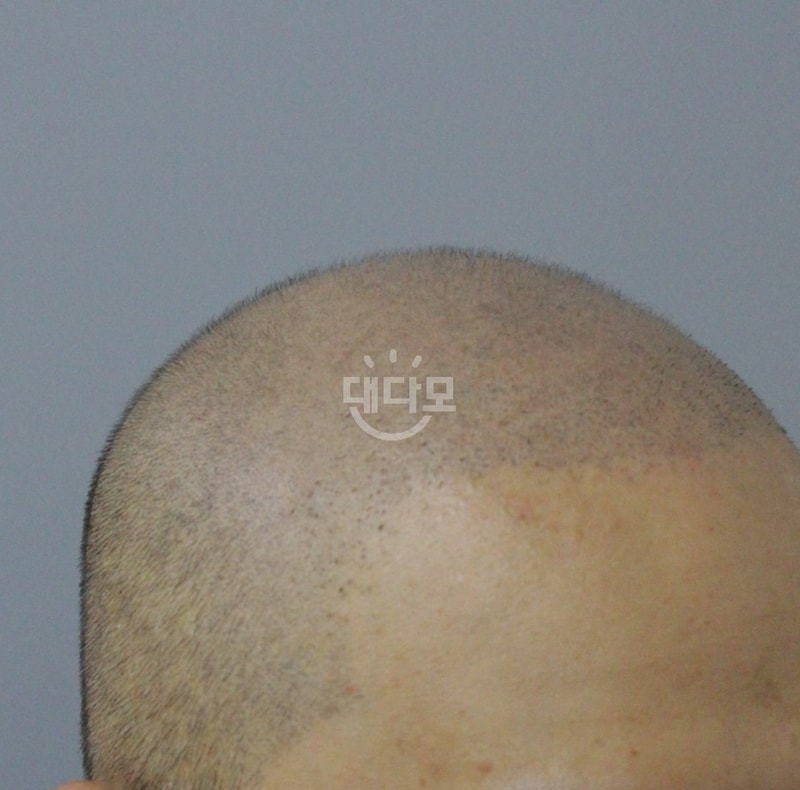 335.jpg