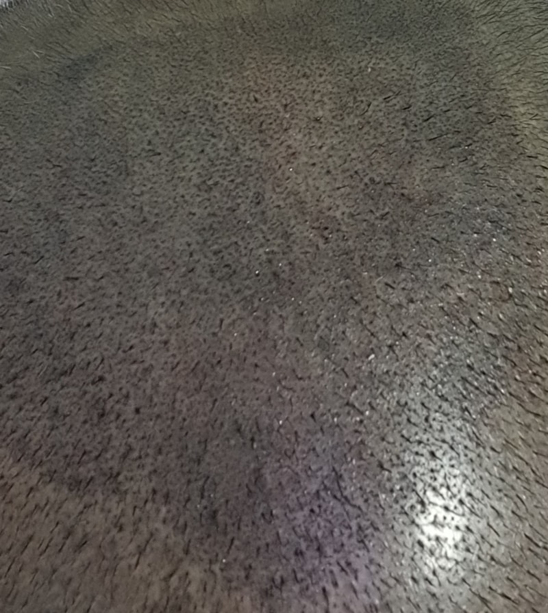 20210302_162409.jpg