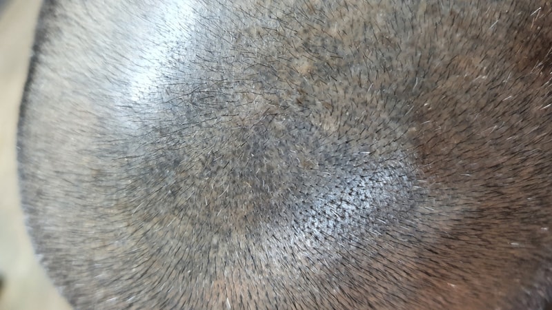 1617344259650.jpg