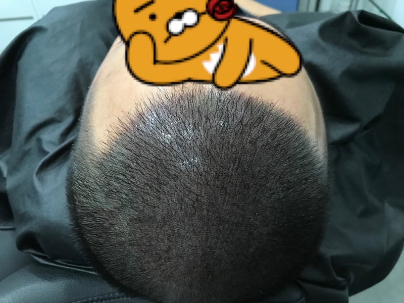 33.jpg