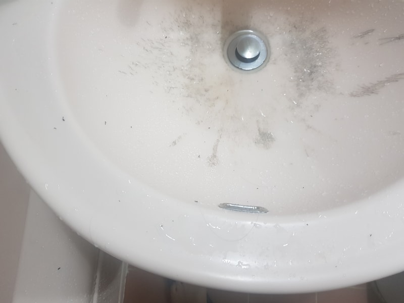 20190711_035842.jpg