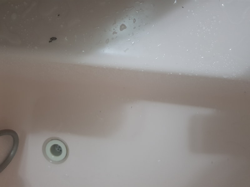 20190710_094810.jpg
